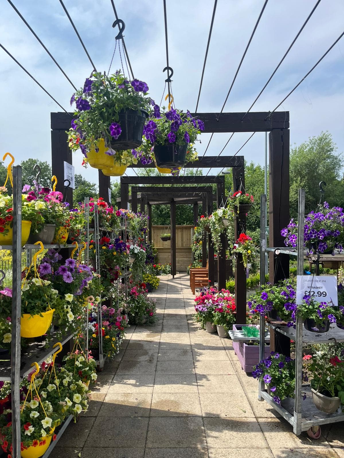 Pop-Up Plant Shop Opens