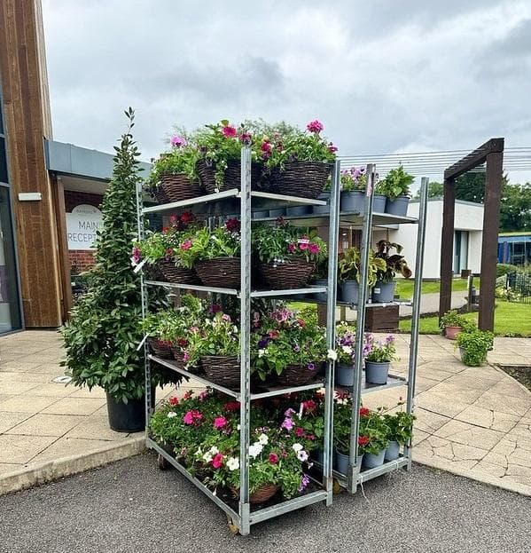 Spring Plant Sale